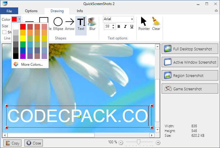 QuickScreenShots Interface