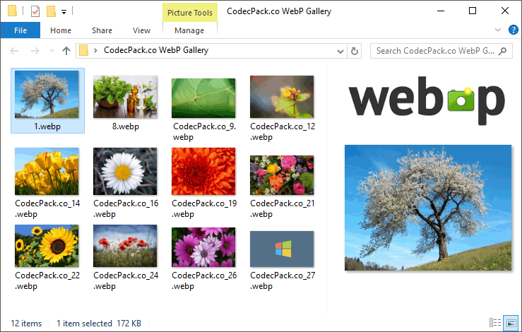 WebP Codec for Windows Screenshot